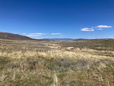 Waterfront Land for Sale on 40 Acres in Placerville, Colorado - image 8