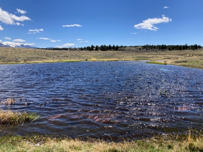 Waterfront Land for Sale on 40 Acres in Placerville, Colorado - image 2