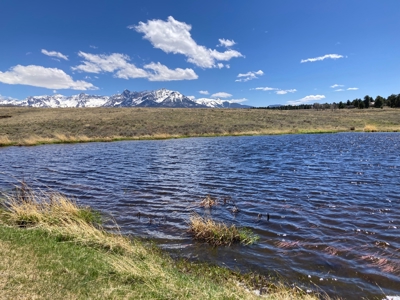 Waterfront Land for Sale on 40 Acres in Placerville, Colorado - image 3