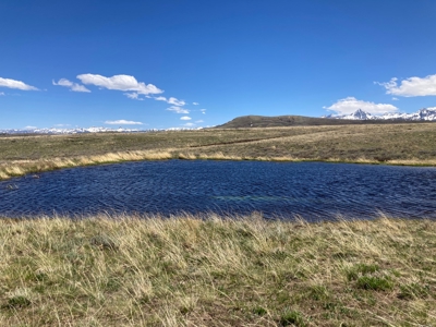 Waterfront Land for Sale on 40 Acres in Placerville, Colorado - image 10