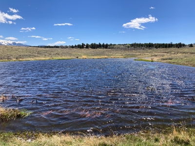 Waterfront Land for Sale on 40 Acres in Placerville, Colorado - image 1