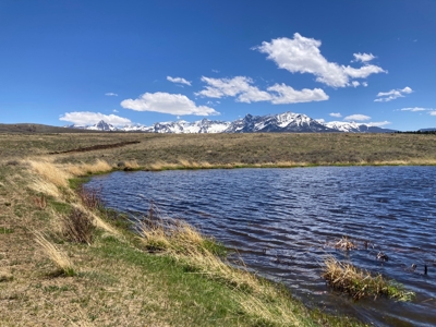 Waterfront Land for Sale on 40 Acres in Placerville, Colorado - image 4