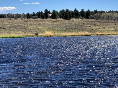 Waterfront Land for Sale on 40 Acres in Placerville, Colorado - image 5