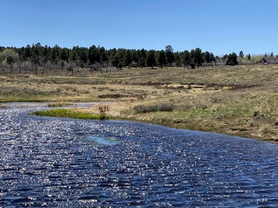 Waterfront Land for Sale on 40 Acres in Placerville, Colorado - image 6