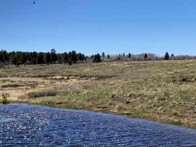 Waterfront Land for Sale on 40 Acres in Placerville, Colorado - image 7