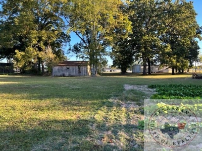 Prime Commercial Development Opportunity in De Kalb, TX - image 2