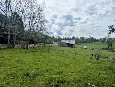 Land for Sale in Floyd County VA - image 6