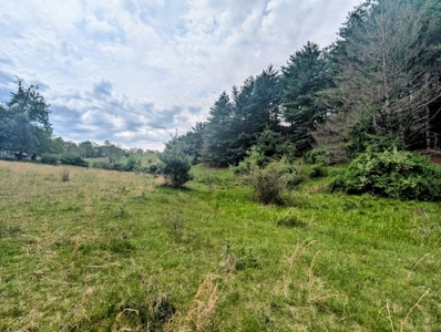 Land for Sale in Floyd County VA - image 10
