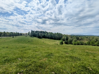Land for Sale in Floyd County VA - image 3