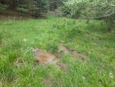 Land for Sale in Floyd County VA - image 8