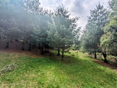 Land for Sale in Floyd County VA - image 7