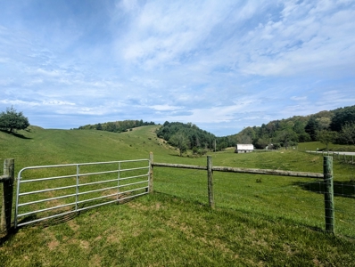 Land for Sale in Floyd County VA - image 15