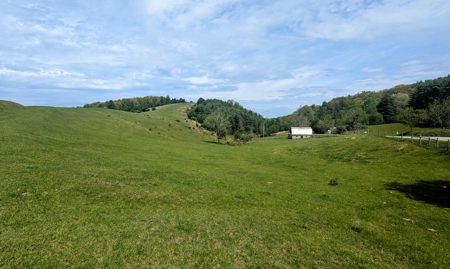 Land for Sale in Floyd County VA - image 1