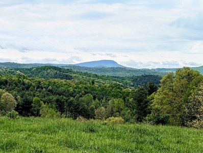 Land for Sale in Floyd County VA - image 4