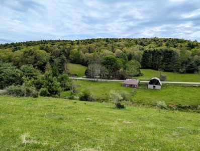Land for Sale in Floyd County VA - image 12