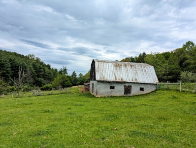 Land for Sale in Floyd County VA - image 14