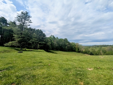Land for Sale in Floyd County VA - image 5