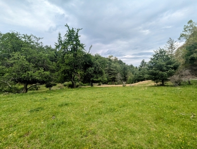 Land for Sale in Floyd County VA - image 11