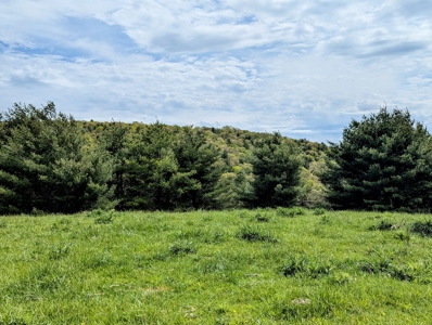Land for Sale in Floyd County VA - image 13