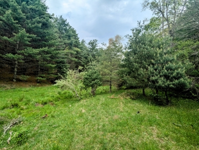 Land for Sale in Floyd County VA - image 9