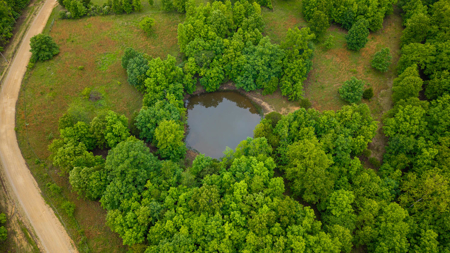 Hobby Farm and Home for sale Oregon County - image 46