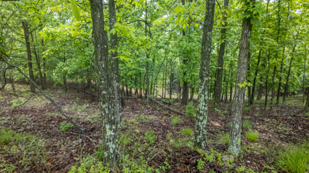 Hobby Farm and Home for sale Oregon County - image 38