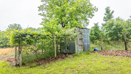 Hobby Farm and Home for sale Oregon County - image 13