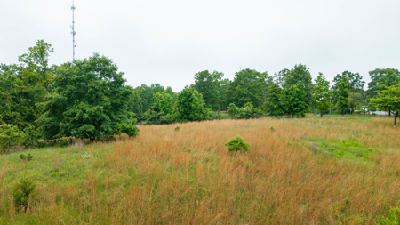 Hobby Farm and Home for sale Oregon County - image 32