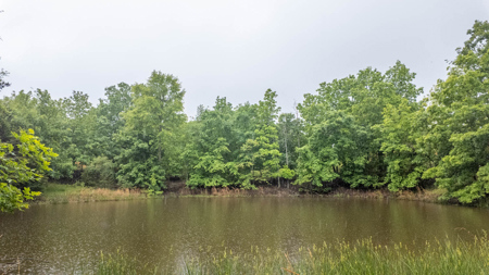 Hobby Farm and Home for sale Oregon County - image 35