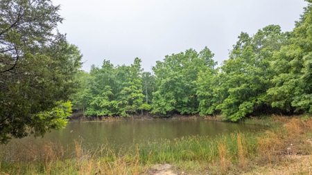Hobby Farm and Home for sale Oregon County - image 34