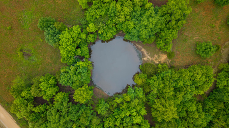 Land for sale in Oregon County - image 14