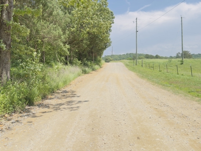 Farm Ready Home and Acreage For Sale In Arkansas - image 41