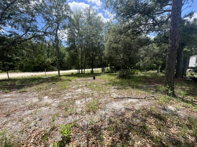 1.23 Acre Lot for Sale in Bell, Florida! - image 5