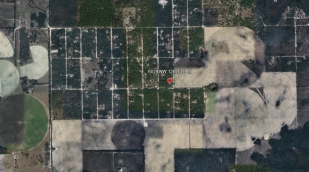 1.23 Acre Lot for Sale in Bell, Florida! - image 17