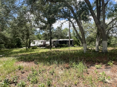 1.23 Acre Lot for Sale in Bell, Florida! - image 3