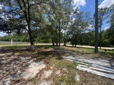 1.23 Acre Lot for Sale in Bell, Florida! - image 4