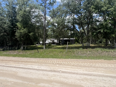 1.23 Acre Lot for Sale in Bell, Florida! - image 8