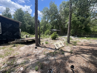 1.23 Acre Lot for Sale in Bell, Florida! - image 10