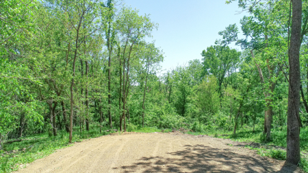 Anamosa Country Home For Sale With Timber - image 34
