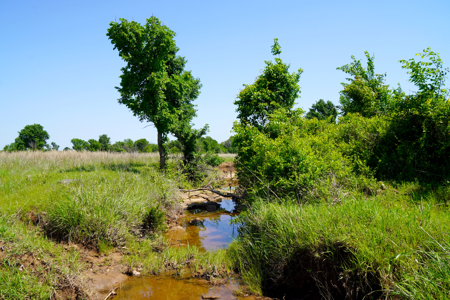 Central Oklahoma Native Grassland Ranch For Sale - image 10