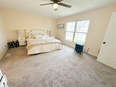 Country Home for Sale in Salem, Missouri - image 19