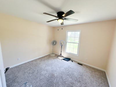 Country Home for Sale in Salem, Missouri - image 23