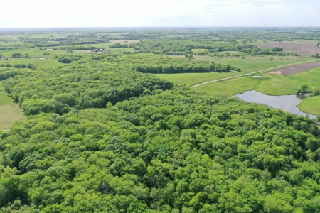 140 Acres m/l with CRP Income, Lake, and Prime Hunting - image 23
