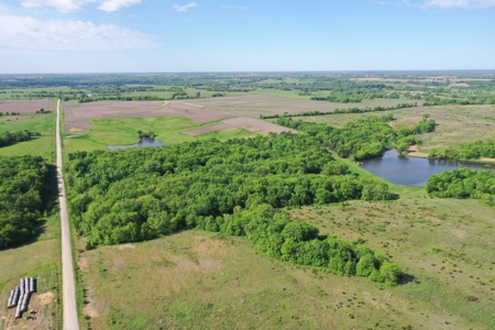 140 Acres m/l with CRP Income, Lake, and Prime Hunting - image 5