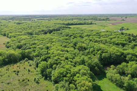 140 Acres m/l with CRP Income, Lake, and Prime Hunting - image 19