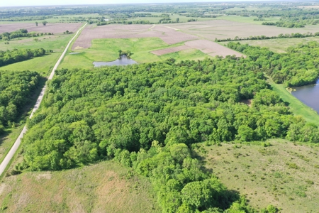 140 Acres m/l with CRP Income, Lake, and Prime Hunting - image 7