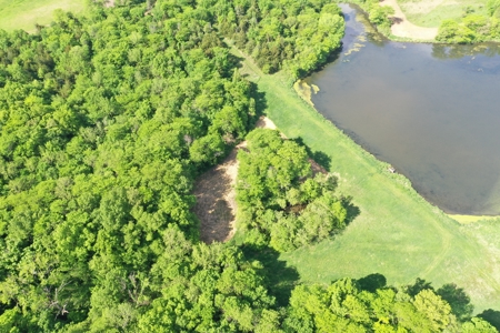140 Acres m/l with CRP Income, Lake, and Prime Hunting - image 9