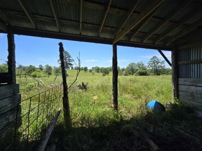 Country Homesite - Acreage For Sale - Homestead Property - image 10