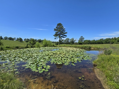 Country Homesite - Acreage For Sale - Homestead Property - image 13