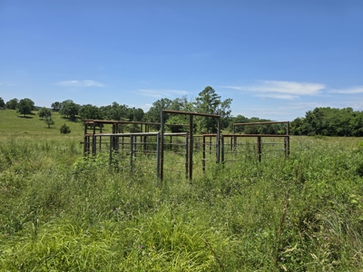 Country Homesite - Acreage For Sale - Homestead Property - image 7